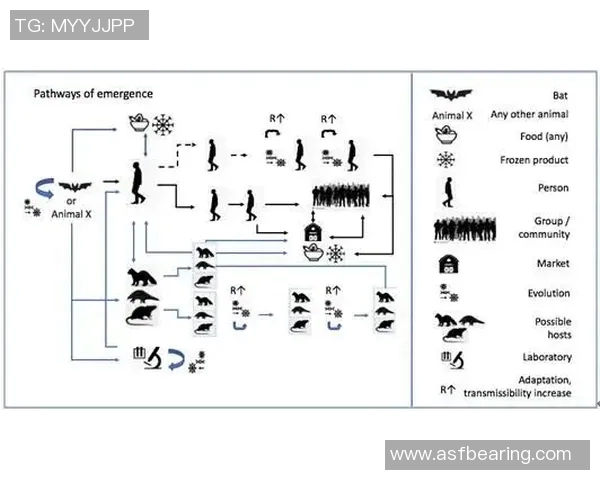 世界杯冠军荣耀之路：历届冠军回顾与辉煌时刻揭秘