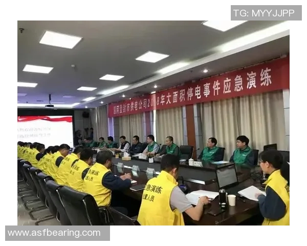 全国各地突发大规模停电事件调查报告及应急响应措施分析