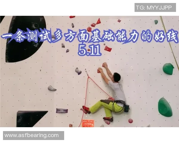 南京攀岩队个人能力提升之路探索与实践分析
