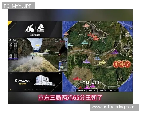 和平精英赛场上的奋斗与荣耀：JDG战队成长历程全景回顾